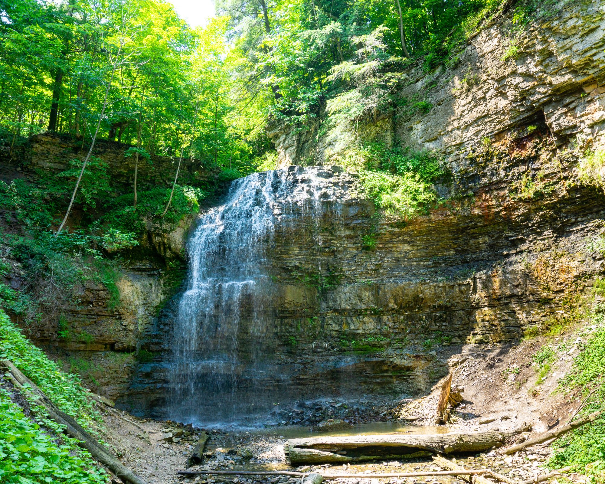 Hamilton_Tiffany-Falls_Canva4-1.jpg