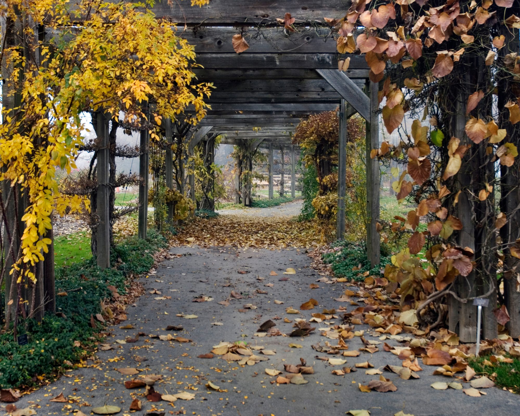 Royal-Botanical-Gardens_Ontario_Canva.jpg