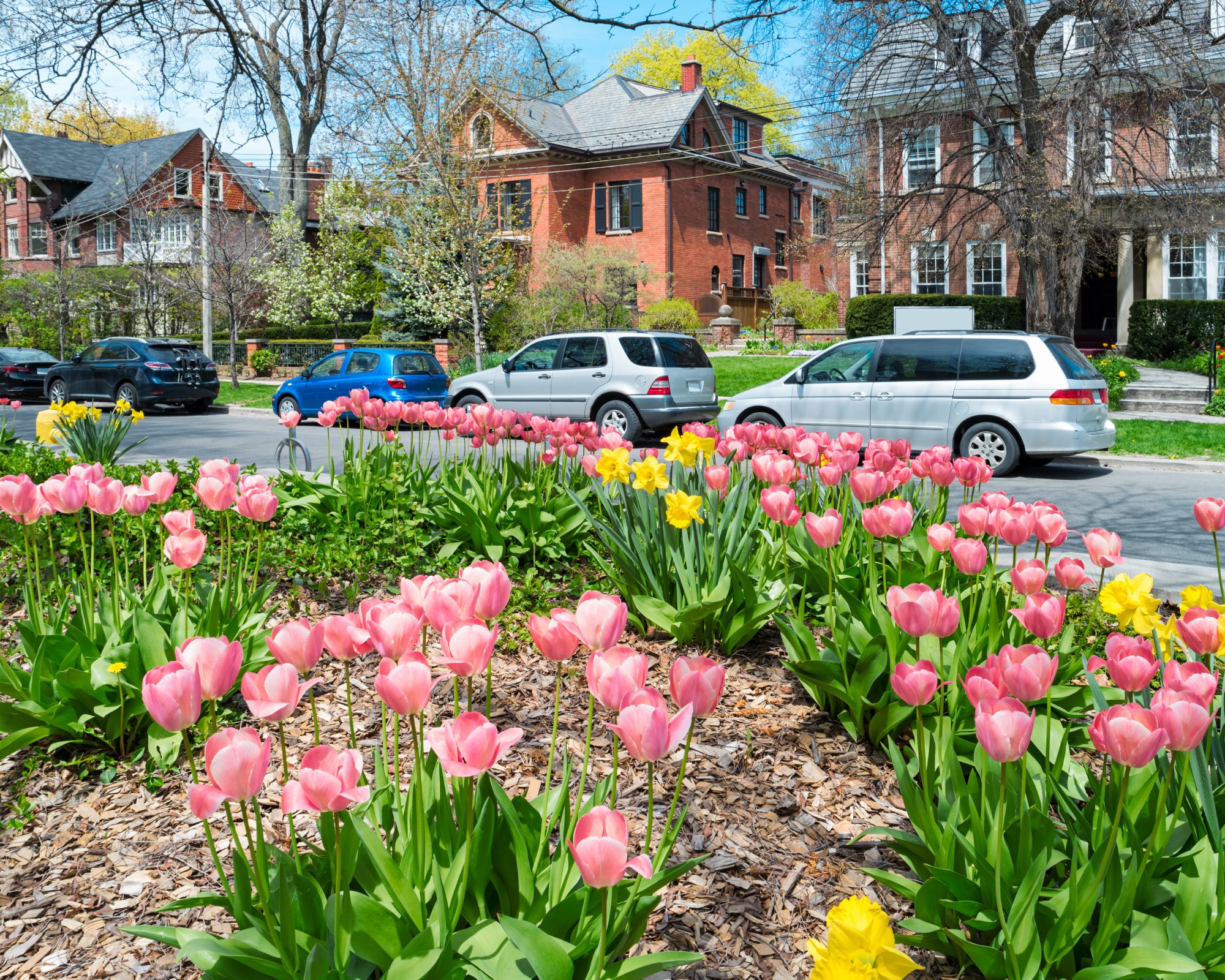 Toronto_Homes_Canva2.jpg